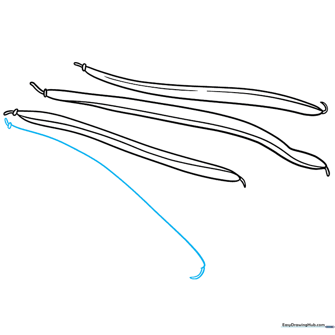 Adding a fourth green bean to the drawing.