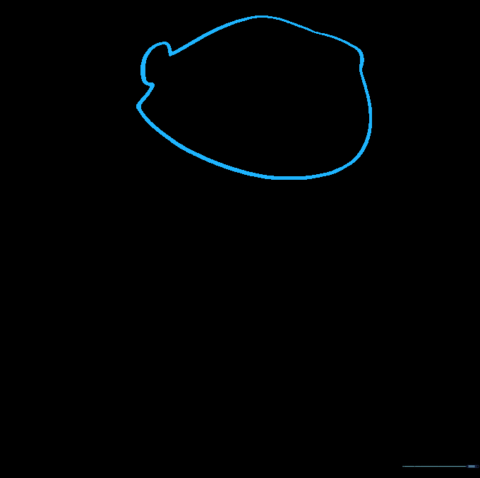 Pencil sketch showing the basic irregular head shape and ear placement for Gru.