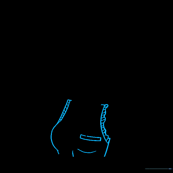 Drawing the torso and pocket detail