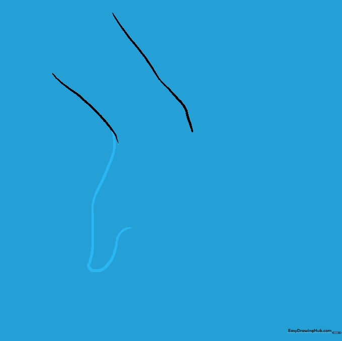 Drawing the thumb shape extending from the wrist