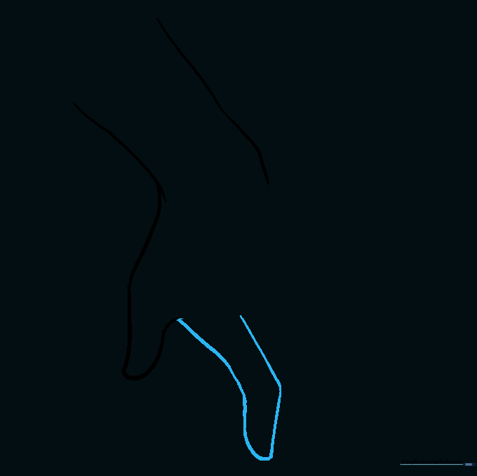 Sketching the index finger with a defined knuckle angle