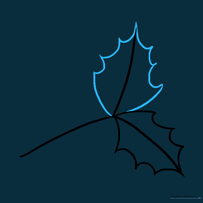 A second prickly holly leaf added to the drawing, overlapping slightly with the first.