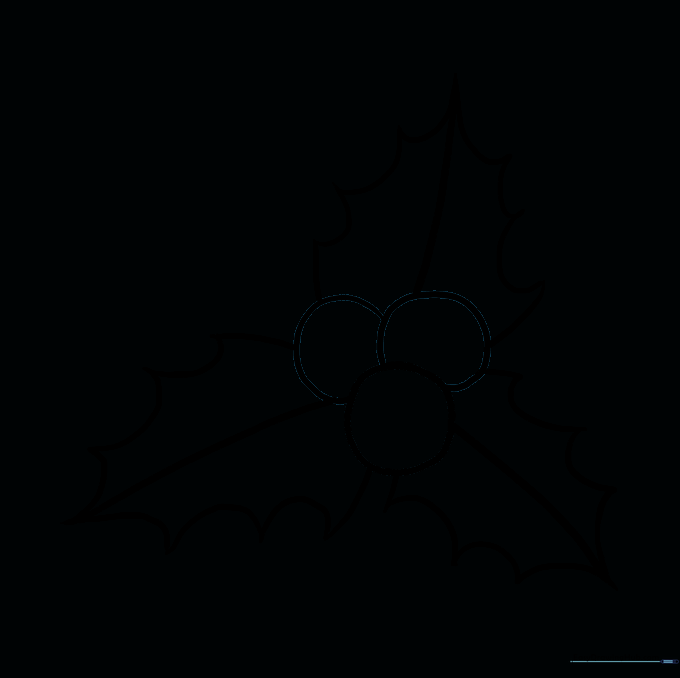 The holly drawing with overlapping guide lines erased for a clean look.