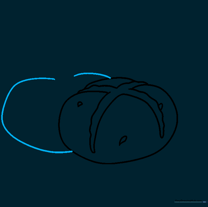 Sketching a second bun overlapping the first one.