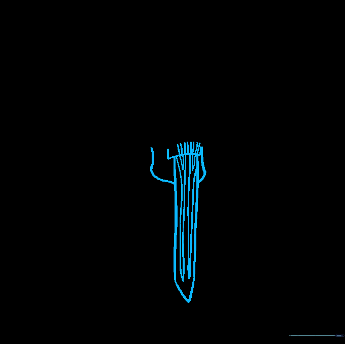 Refining the torso armor with sharp, angular lines extending downward.
