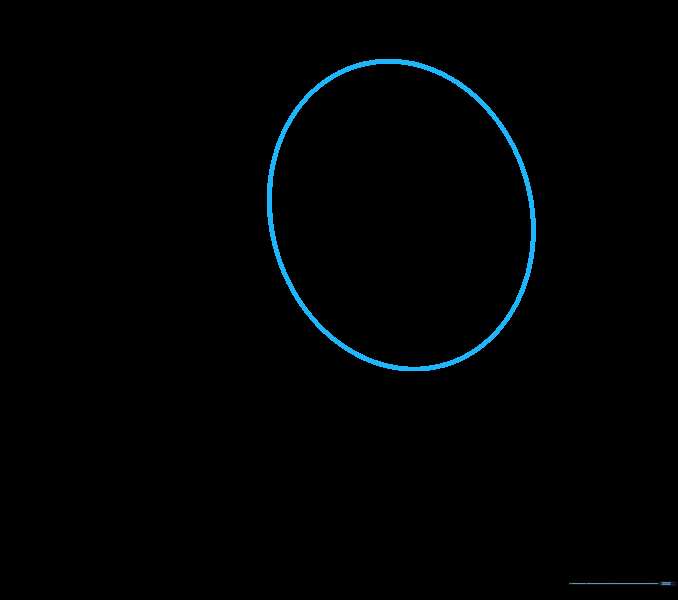 A light pencil sketch of a large oval on a white background, serving as the head guide.