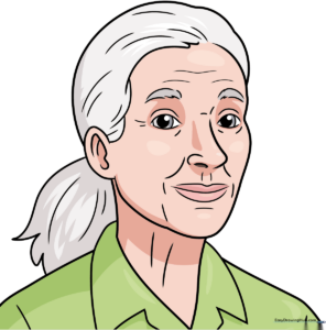A finished, colored portrait of Jane Goodall, perfect for educational art projects.