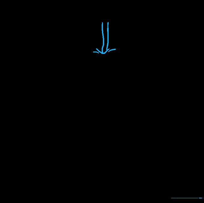The center fly area of the jeans with added fabric crease lines.