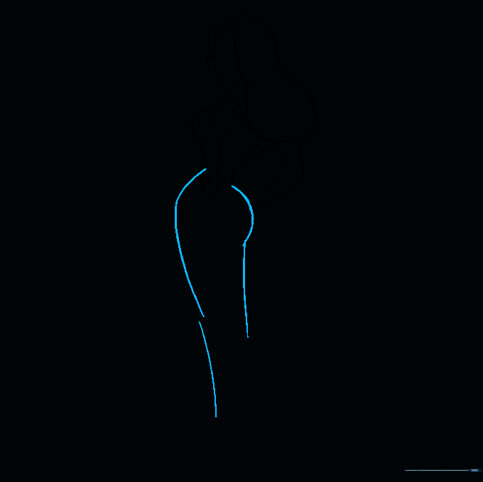 Drawing the long, sweeping lines that form the silhouette of the dress.