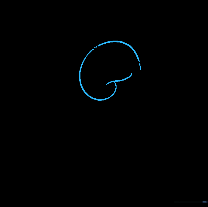 A small, spiral-shaped curl added to the top of the head between the ears.