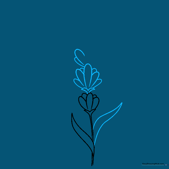 Sketch of a lavender stem with a single narrow, pointed leaf attached to the side.