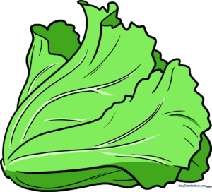 A vibrant, finished drawing of a head of lettuce, showcasing the final result of the tutorial.