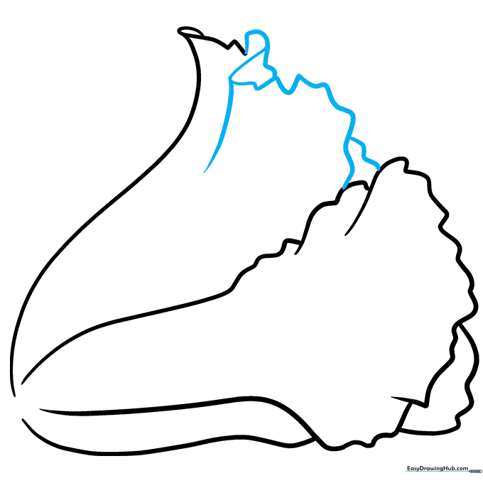 Pencil sketch showing the connection of leaf layers using wavy lines.
