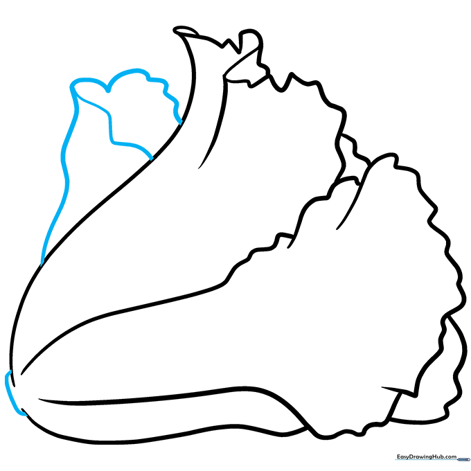 Pencil sketch showing the final leaf added and the base stem connected.