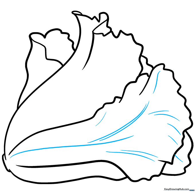 Pencil sketch showing the addition of detailed veins on the primary lettuce leaf.