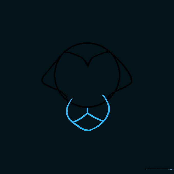 Drawing the rounded muzzle and mouth area on the lower part of the lion's face.