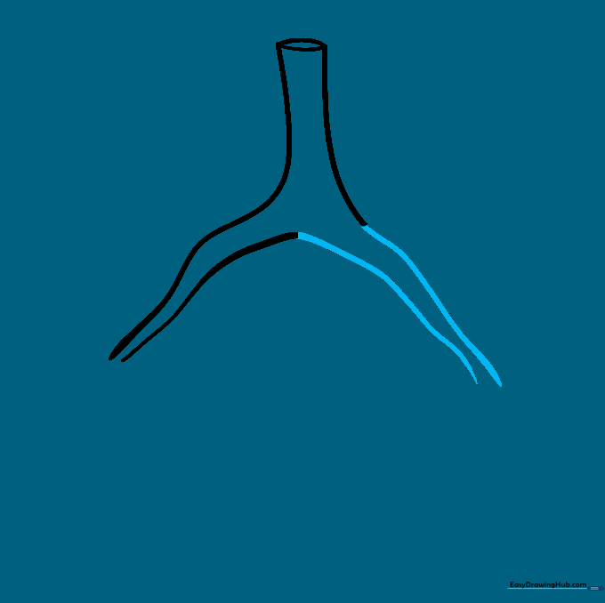 Adding the right primary bronchus to complete the symmetrical airway structure.