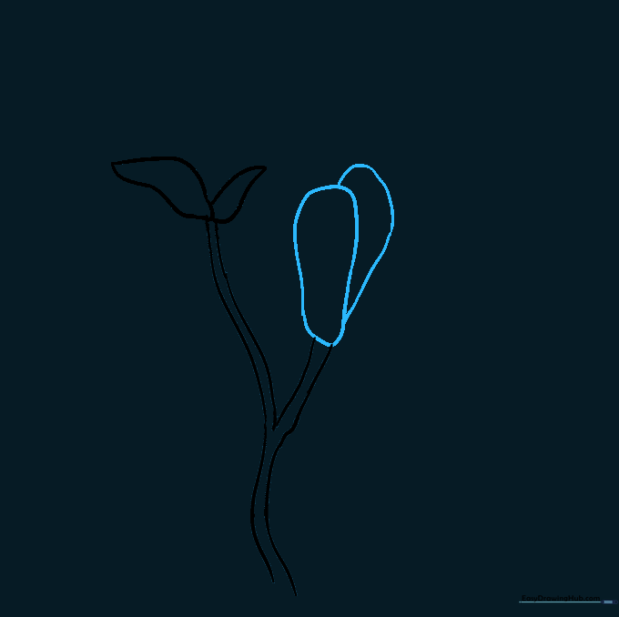 Drawing the first large, elongated petal shapes on the second branch.