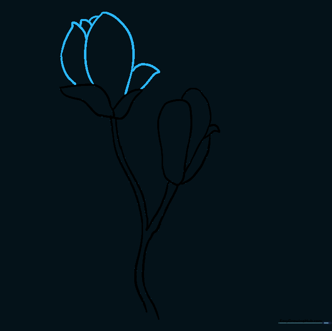 Completing the flower head with large and small overlapping petals.