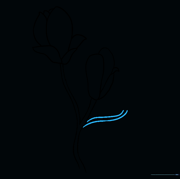 Drawing an additional branch segment extending from the main stem.