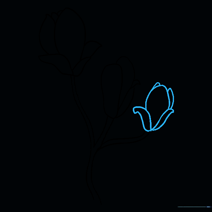 Adding a new flower bud at the end of the extended branch.