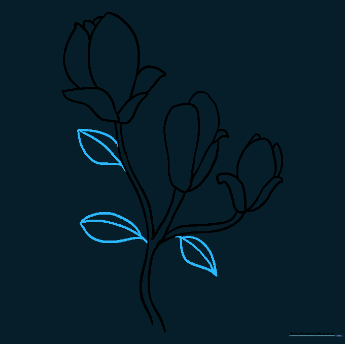 Adding broad, pointed leaves to the branches with visible central veins.