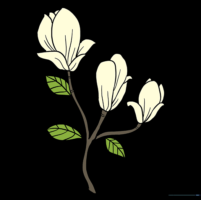 Final colored drawing of the magnolia flowers with green leaves and pink-tinted petals.