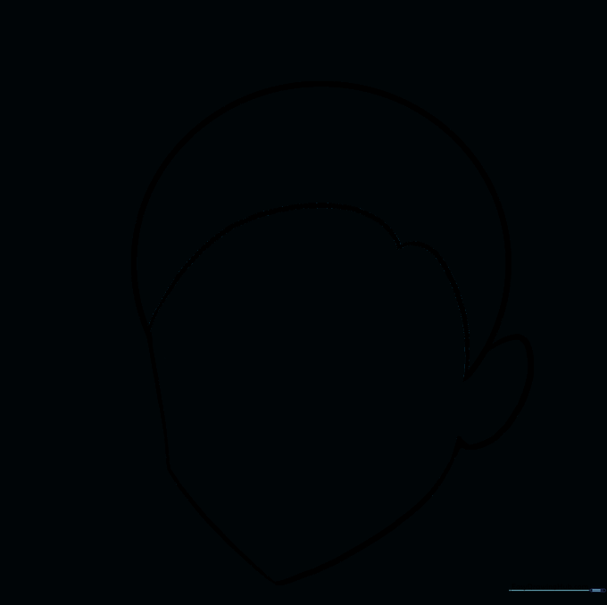 The face outline after the circular guide lines have been erased.