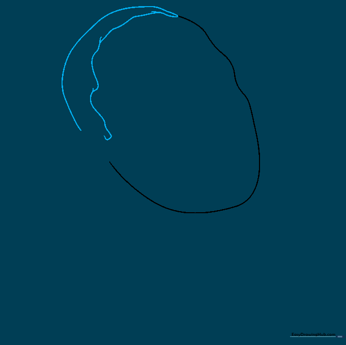The head outline with the guide lines erased and short, textured lines added to represent hair.