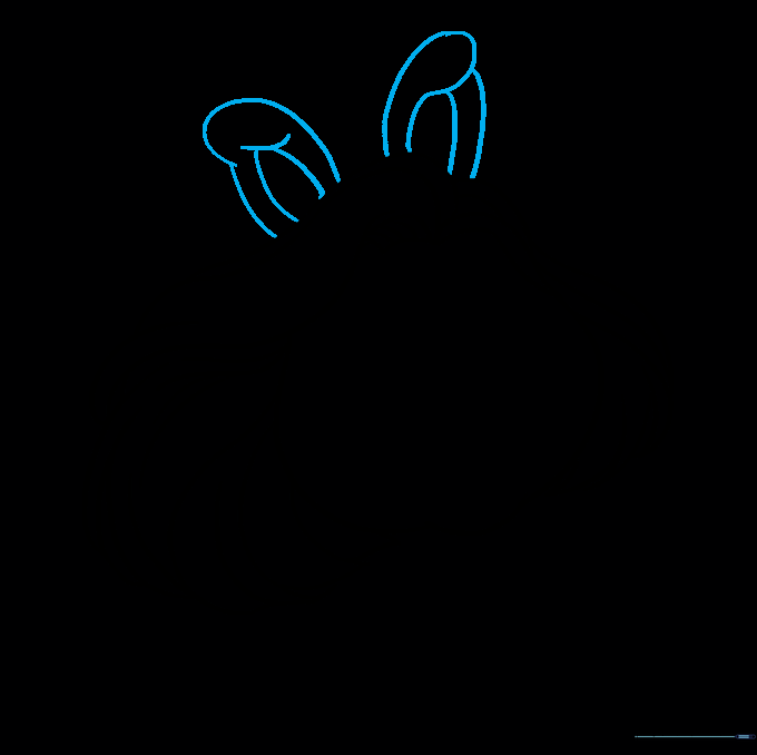 Close-up sketch showing the placement and detail of Miss Piggy's ears.
