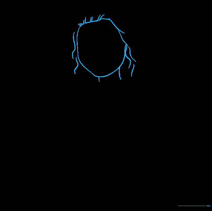 Pencil sketch showing the basic oval shape of Moana's head and neck with initial hairline guidelines.