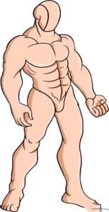 A complete, illustrated guide on how to draw a muscular figure.