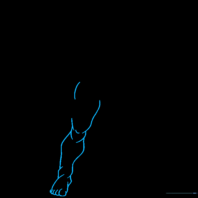 Sketching the leg muscles, including thighs, calves, and feet.
