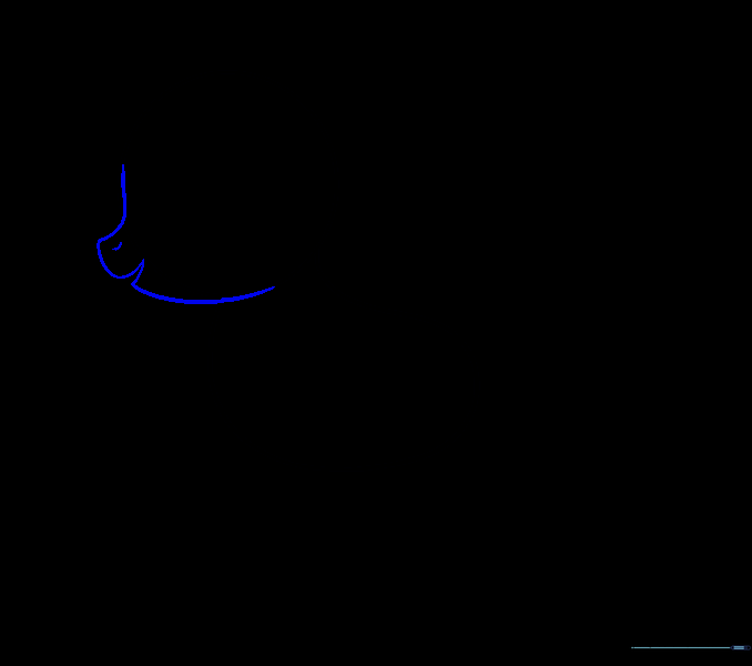 Drawing the snout and mouth area extending from the side of the head circle.