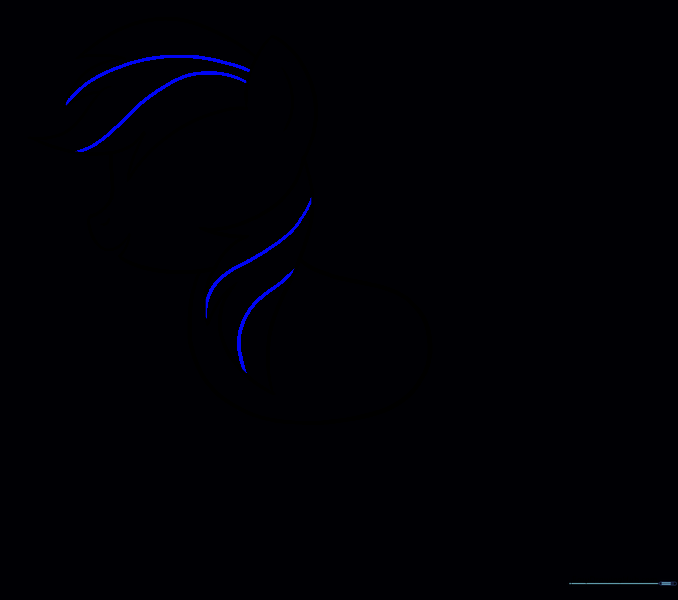 Adding detail lines to the mane to define hair segments.