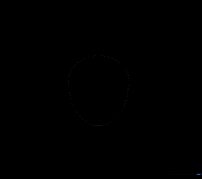 Erasing the internal construction lines of the circle to leave a clean face shape.