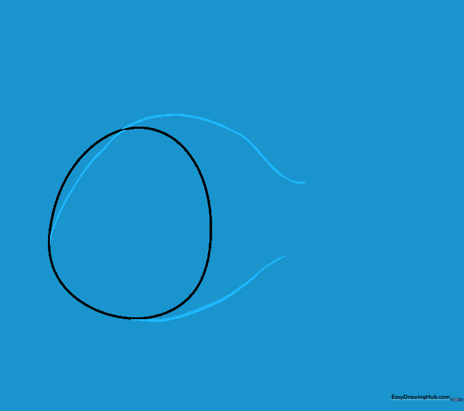 Two curved lines extending from the head to form the elongated body of the fish.