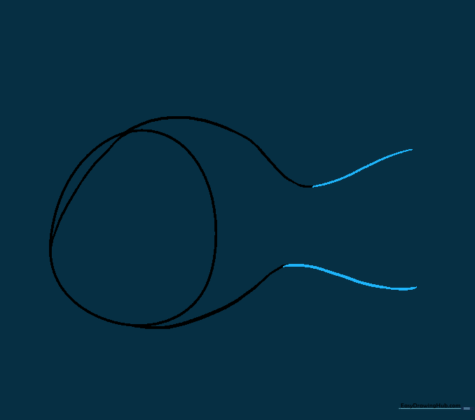 The body lines flaring out at the end to prepare for the tail shape.