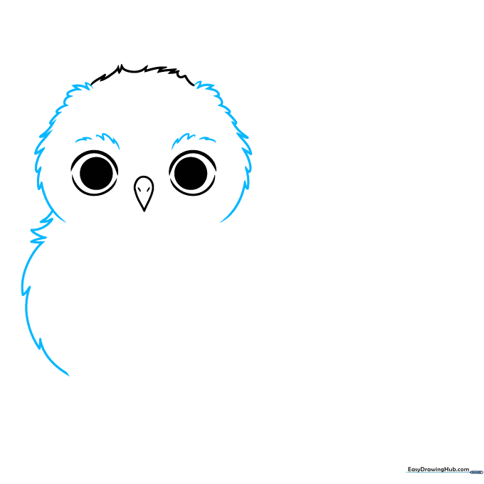 Drawing the feathered facial outline of the first owl baby.