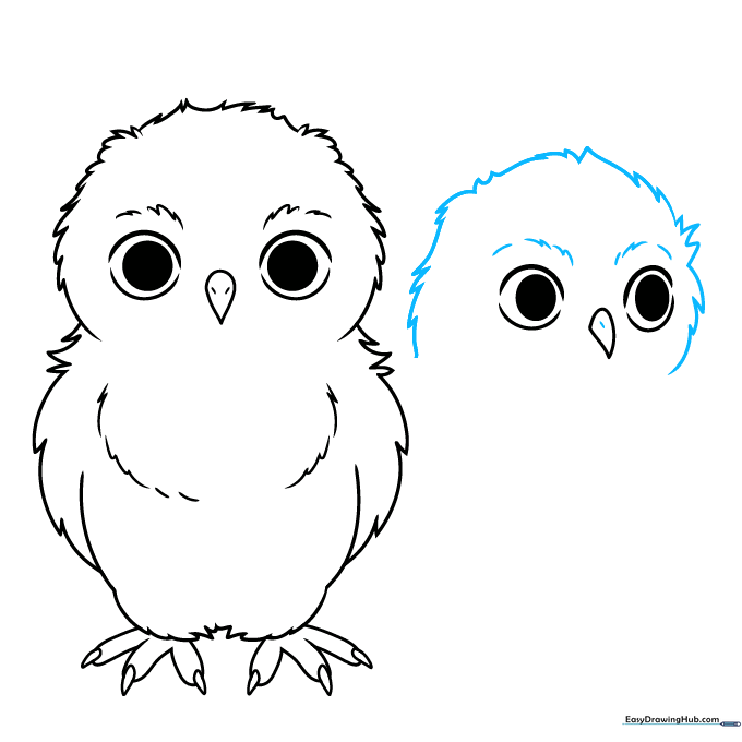 Outlining the head and facial feathers of the second owl.