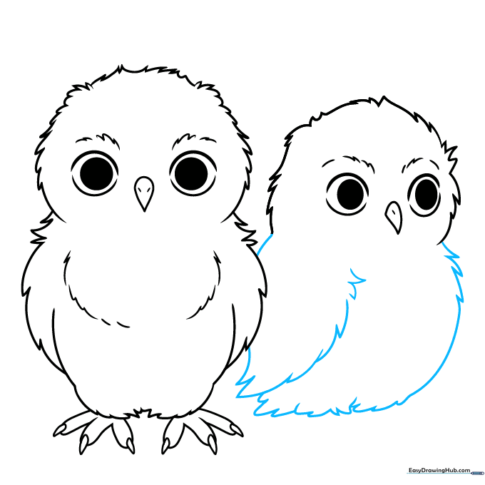 Adding wing and belly details to the second owl character.