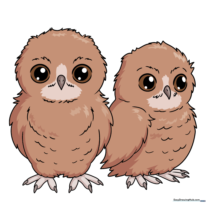 Final colored illustration of two cute owl babies.