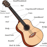 Colorful, labeled illustration of an acoustic guitar for educational use