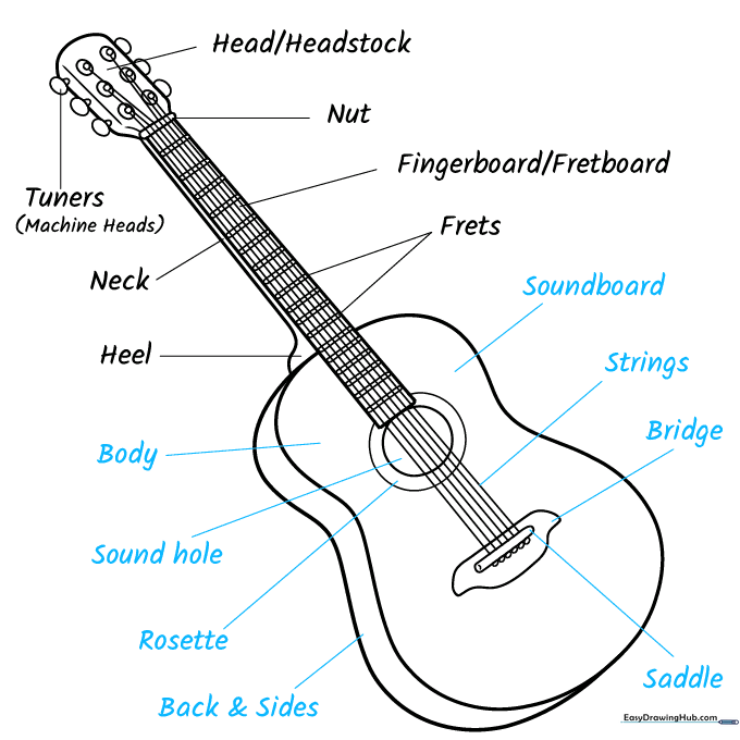 Completed guitar diagram with all parts labeled clearly