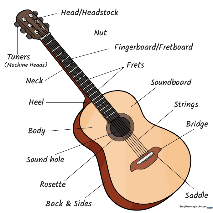 Finished, colored guitar drawing with labels