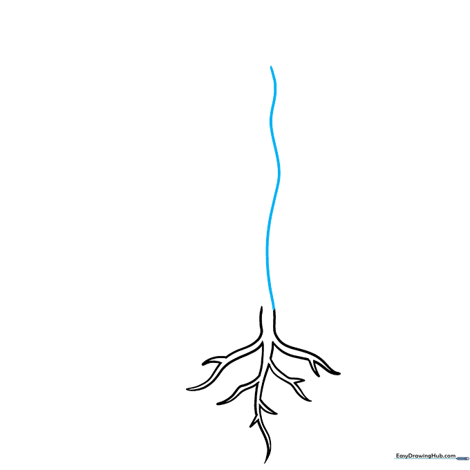 A single long curved line extending upward from the roots to form the plant stem.