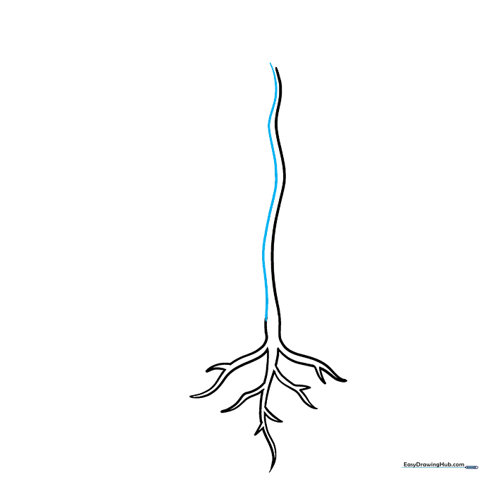 Two parallel curved lines forming the full thickness of the plant stem.