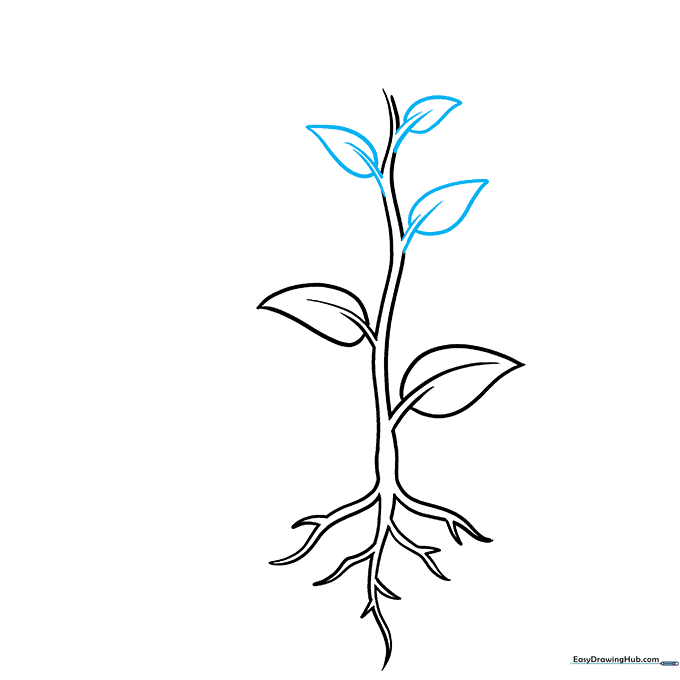 Smaller leaves added near the top of the stem to represent new growth.