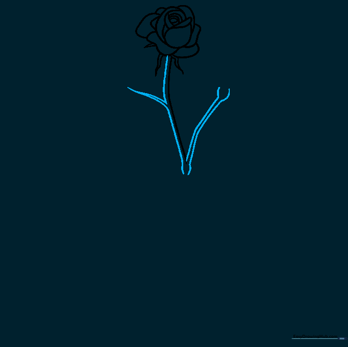 Rose stem structure showing branching twigs and nodes at connection points.