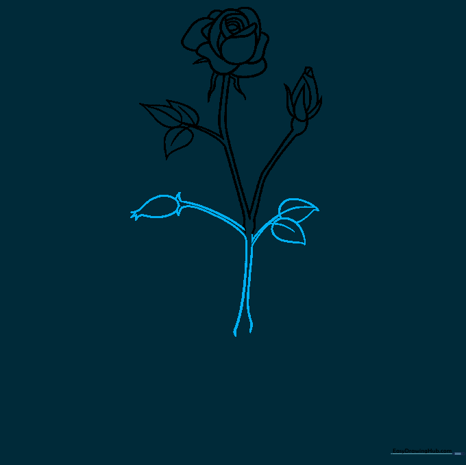Adding a rounded rosehip fruit and additional foliage to the rose diagram.
